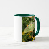 groene mot mok (Voorkant rechts)