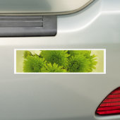 Groene Mums Bumpersticker (Op auto)