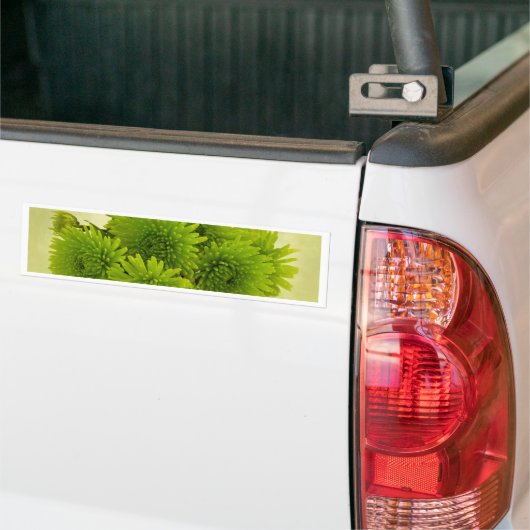 Groene Mums Bumpersticker (Op Truck)