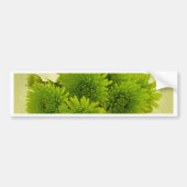 Groene Mums Bumpersticker (Voorkant)