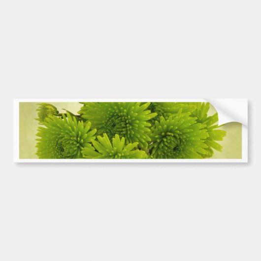 Groene Mums Bumpersticker (Voorkant)
