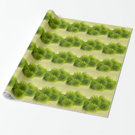 Groene Mums Cadeaupapier