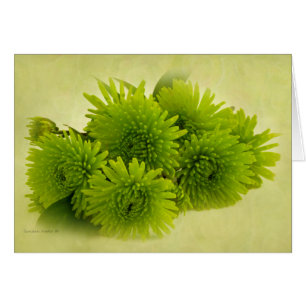 Groene Mums Kaart