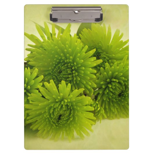 Groene Mums Klembord (Voorkant)