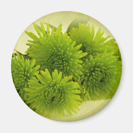 Groene Mums Magneet (Voorkant)