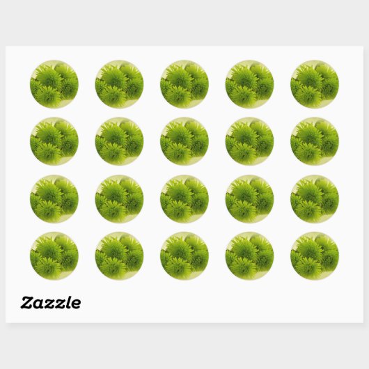 Groene Mums Ronde Sticker (Vel)