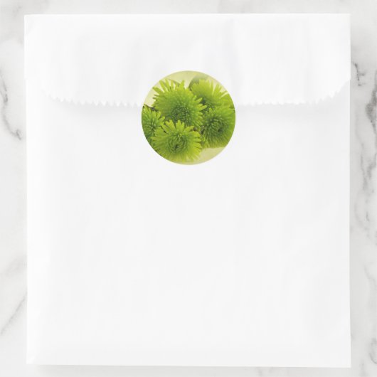 Groene Mums Ronde Sticker (Tas)