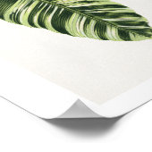 Groene Musa Vittata-bladillustratie. blad, publi Poster (Hoek)