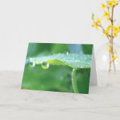 Groene Nasturtium met dauw, Poëzie van Natuur Kaart (Gele Bloem)