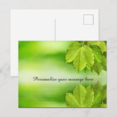 Groene Natuur laat dauw op maat Aankondigingskaart (Voorkant / Achterkant)