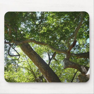 Groene natuur van de plataan muismat