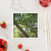 Groene natuur van de plataan servetten (Insitu)