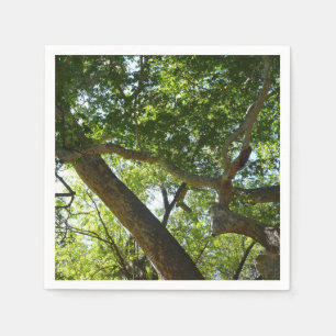 Groene natuur van de plataan servetten