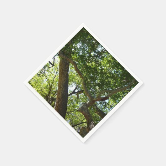 Groene natuur van de plataan servetten (Hoek)