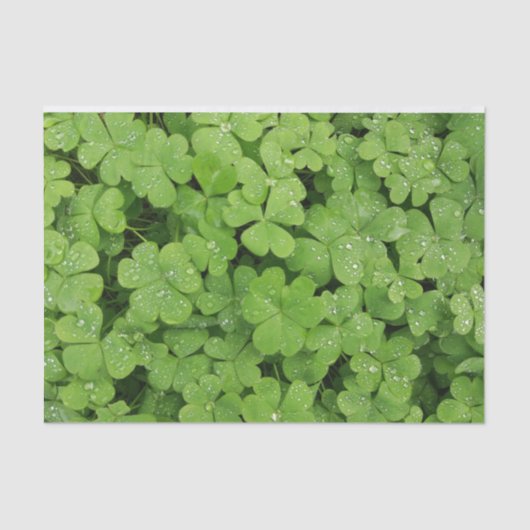 Groene natuur van papierstof voor shamrock tissuepapier (Voorkant)