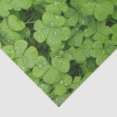 Groene natuur van papierstof voor shamrock tissuepapier (Detail)