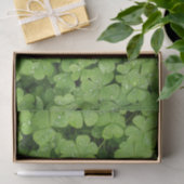 Groene natuur van papierstof voor shamrock tissuepapier (Geschenk)