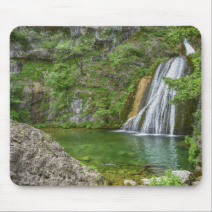 Groene Natuur Waterfall Muismat