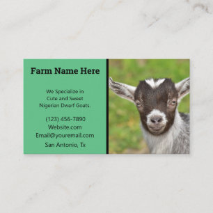 Groene Nigerian Dwarf Goat Breeder Visitekaartje