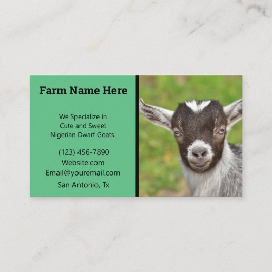 Groene Nigerian Dwarf Goat Breeder Visitekaartje (Voorkant)