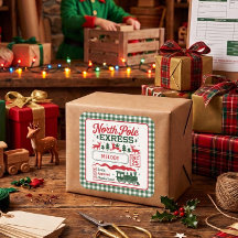 Groene Noordpool Kerstman expreslevering geruit