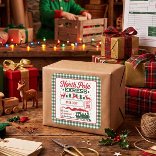 Groene Noordpool Kerstman expreslevering geruit Vierkante Sticker
