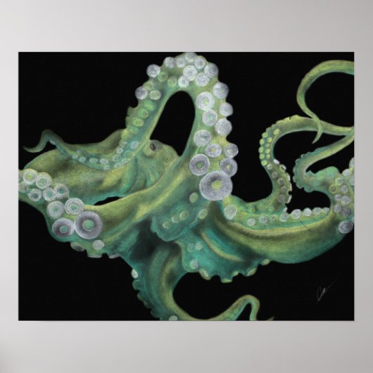 Groene octopus 20 x 16 poster (Voorkant)