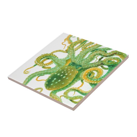 groene octopus tegeltje (Zijkant)
