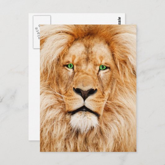 Groene ogen Lions gezicht Briefkaart (Voorkant / Achterkant)
