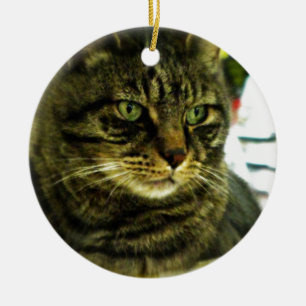 Groene Ogen Tabby Gezicht Keramisch Ornament