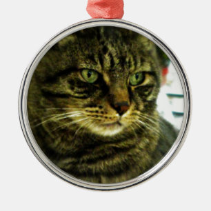 Groene Ogen Tabby Gezicht Metalen Ornament