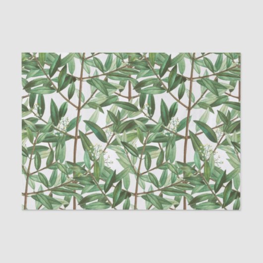 Groene olieramp Botanische Waterverf Tissuepapier (Voorkant)