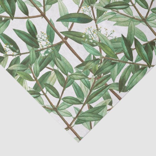 Groene olieramp Botanische Waterverf Tissuepapier (Detail)