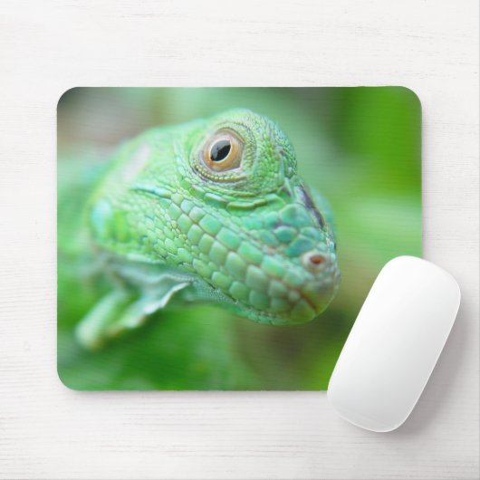 Groene olieramp in de iguana op Leaf Mousepad Muismat (Met muis)