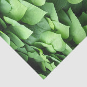 Groene olievloeistof voor de Nederlandse pijpleidi Tissuepapier (Detail)