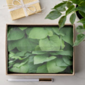 Groene olievloeistof voor de Nederlandse pijpleidi Tissuepapier (Geschenk)