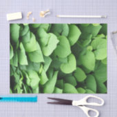 Groene olievloeistof voor de Nederlandse pijpleidi Tissuepapier (Craft)