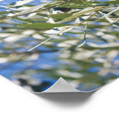 Groene olijfboom met zwarte vruchten poster (Hoek)