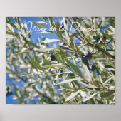 Groene olijfboom met zwarte vruchten poster (Voorkant)