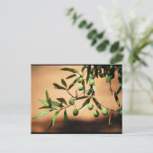 Groene olijven aan tak briefkaart (Staand voorkant)