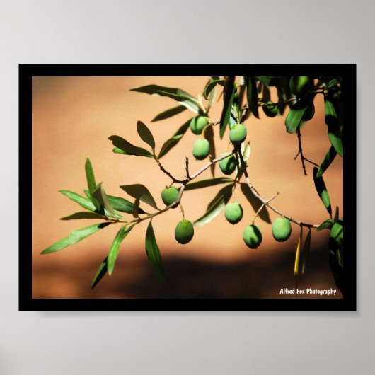 Groene olijven aan tak poster (Voorkant)