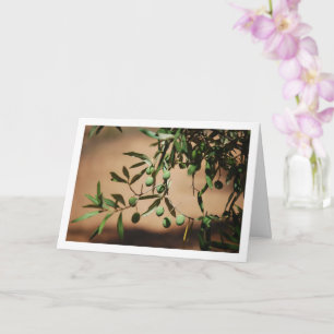 Groene olijven die aan de olijfboom hangen kaart