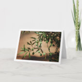 Groene olijven die aan de olijfboom hangen kaart (Voorkant)