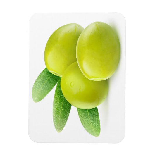 Groene olijven magneet (Verticaal)