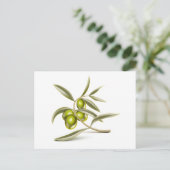 Groene olijventak briefkaart (Staand voorkant)