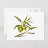 Groene olijventak briefkaart (Voorkant / Achterkant)