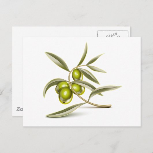 Groene olijventak briefkaart (Voorkant / Achterkant)