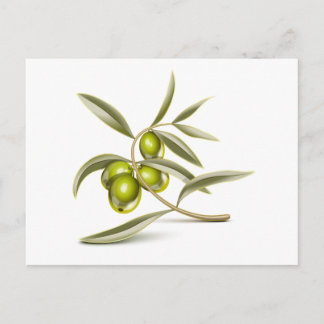 Groene olijventak briefkaart