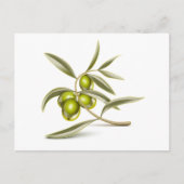 Groene olijventak briefkaart (Voorkant)