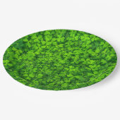 Groene omvergooibladeren met waterdruppels papieren bordje (Gekanteld)